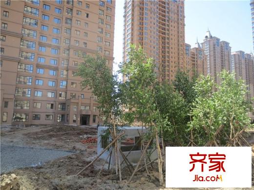 南極國際外景圖