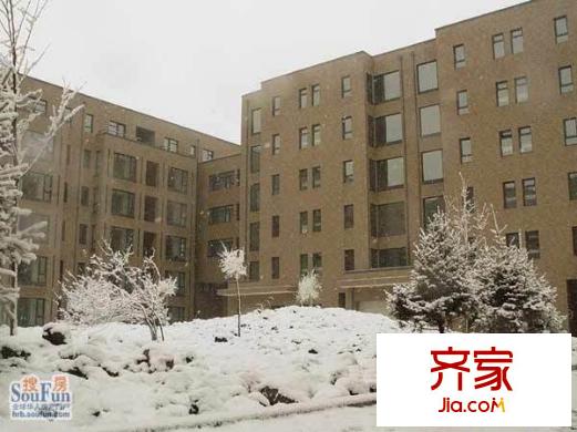 柏林四季外景圖