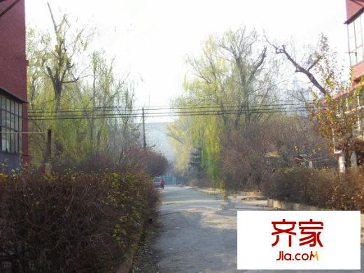 亞麻小區(qū)外景圖哈爾濱  