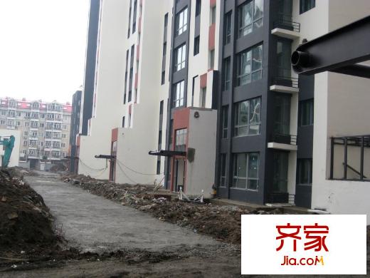 橄欖城實(shí)景圖小區(qū)內(nèi)道路實(shí)景10-11-20