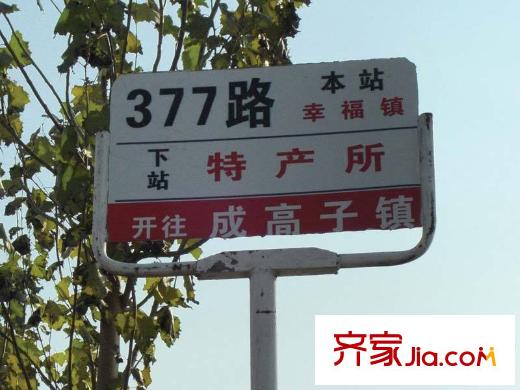 聚仁天地周邊公交站（2013-10-30）