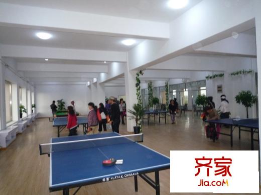 什河麗景項(xiàng)目乒乓球活動(dòng)中心（2013-08-06）