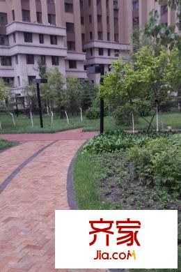 郁金臺(tái)小區(qū)內(nèi)部實(shí)景（2015-06-09）