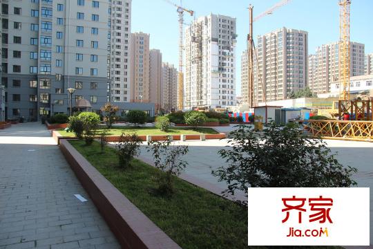 和苑小區(qū)內(nèi)綠化外景（2015-10-09）