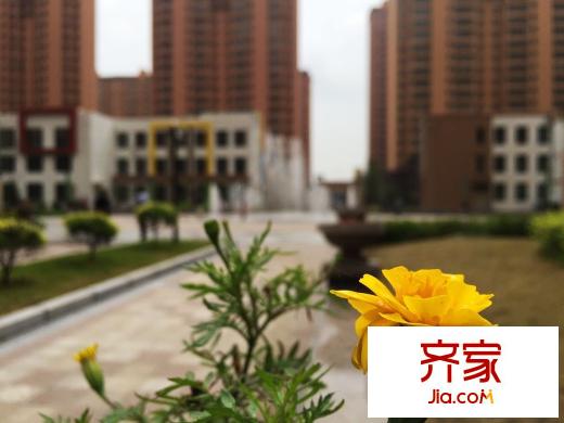 尚東輝煌城小區(qū)綠化（2015.09.22）
