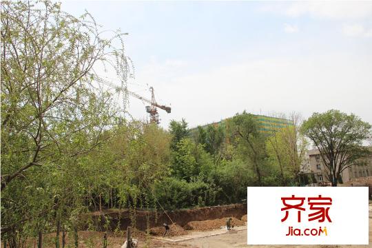 鼎力葉知林項目周邊工地（2015-06-04）