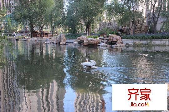 寶宇天峰項(xiàng)目水系園林（2015-09-16）