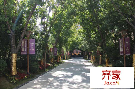 天悅項(xiàng)目園林設(shè)計(jì)（2015-10-21）
