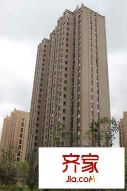 魯商松江新城7地塊13號樓實(shí)拍（2015-10-9）