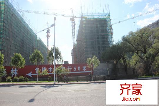 溫哥華森林項(xiàng)目高層遠(yuǎn)景（2015-06-04）