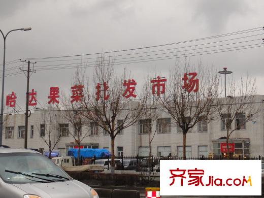 魯商松江新城項(xiàng)目周邊配套哈達(dá)果蔬批發(fā)（2012-04-25）
