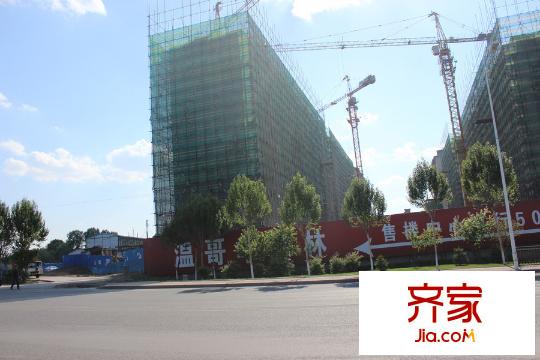 溫哥華森林項(xiàng)目施工現(xiàn)場（2015-06-04）