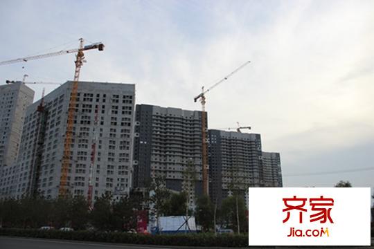 匯龍北緯45°8#、1#、2#、3#（2015.09.22）