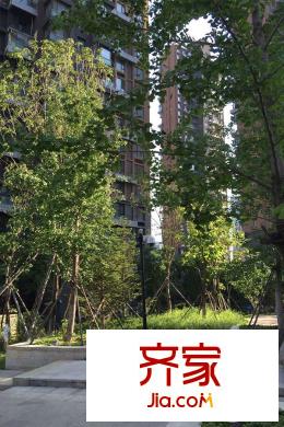 保利達(dá)江灣城園區(qū)實景（2015-8-26）