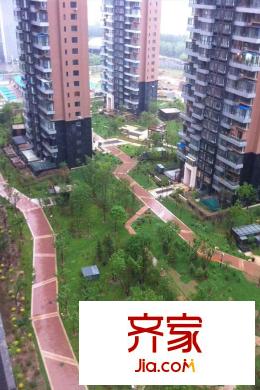 保利達(dá)江灣城綠化實景（2015-8-26）