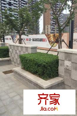 保利達(dá)江灣城園區(qū)實景（2015-8-26）