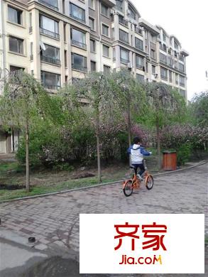 黎明西部風(fēng)情外景圖 