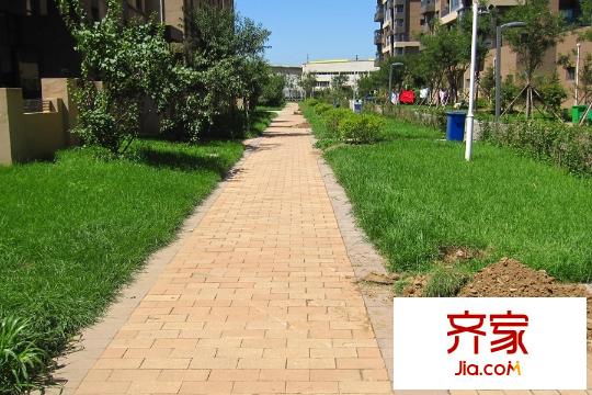 麗都新城二期愛麗香舍園區(qū)路面（2015-08-04）
