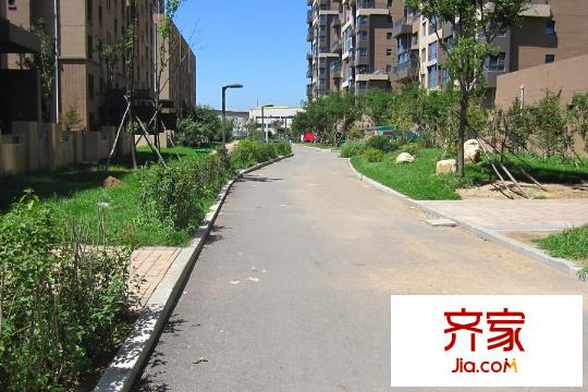 麗都新城二期愛麗香舍園區(qū)路面（2015-08-04）
