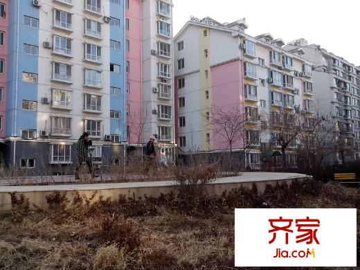 青年居易外景圖 