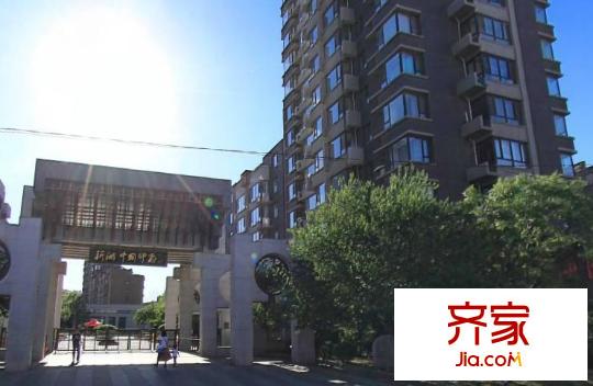 新湖中國印象實景圖09