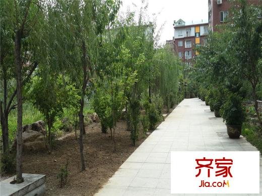 淺草綠閣六期實景圖園區(qū)實景（2014-5-9）