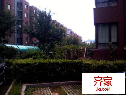 香域藍山外景圖 