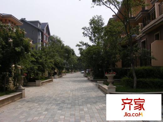 陽光國際花園園區(qū)實景（2014-5-29）
