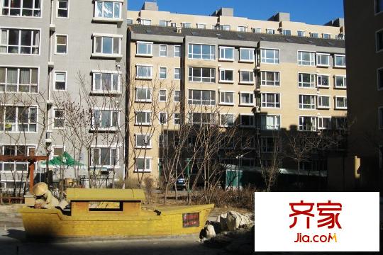 天和人家園區(qū)綠化（2015-12-24）