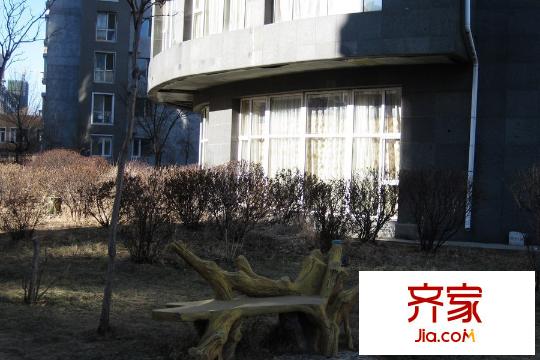 天和人家園區(qū)綠化（2015-12-24）