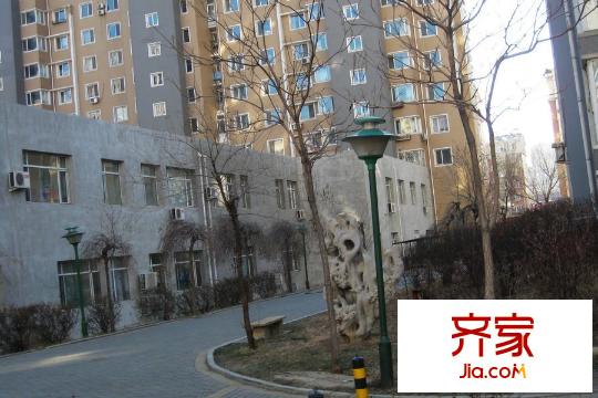 天和人家園區(qū)綠化（2015-12-24）