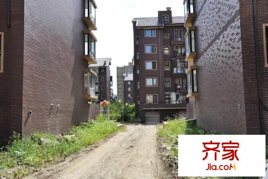 渾河灣園區(qū)小路（2015-8-27）
