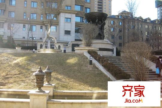 納帕名門園區(qū)綠化（2015-12-24）