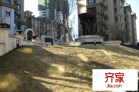 納帕名門園區(qū)綠化（2015-12-24）