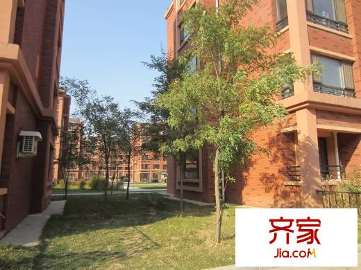西城逸景園區(qū)綠化（2014-10-23）