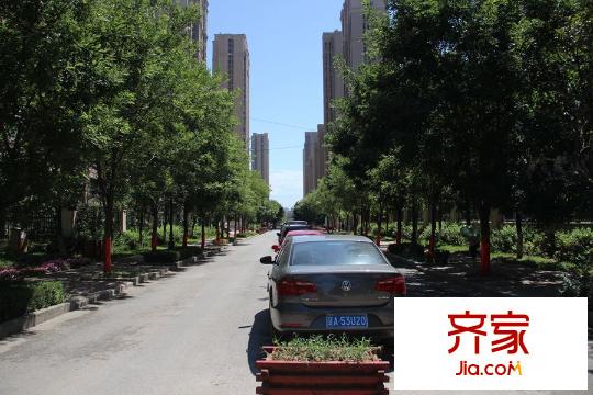 中海?盛京閣綠化（2015-8-25）
