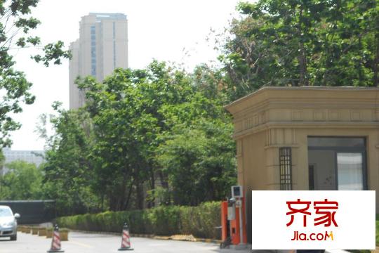 中海?盛京府項(xiàng)目實(shí)景（2015-6-23）