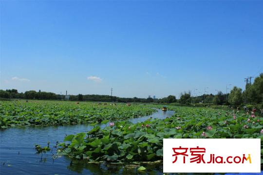 首創(chuàng)琥珀灣周邊東陵公園