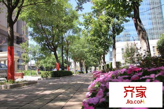中海?盛京閣園區(qū)（2015-8-25）