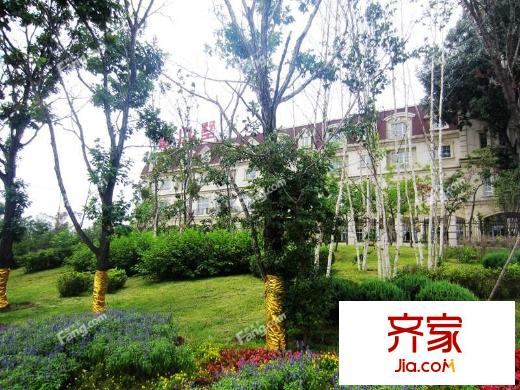 香山墅園區(qū)綠化實景（2014-7-24）