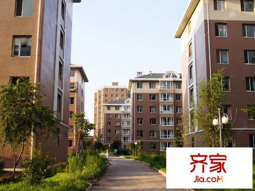 和諧花園園區(qū)道路實景（2014-02-17）