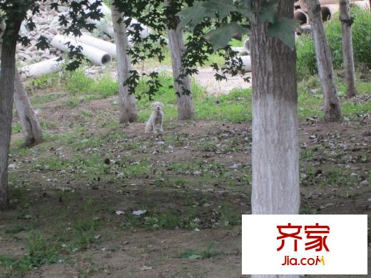 原香墅（2012-8-28）