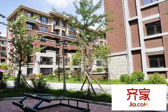 江戶雅致園區(qū)實景（2015-8-27）