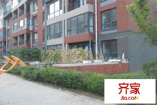 香檳新坐標多層一樓帶花園（2015-8-18）