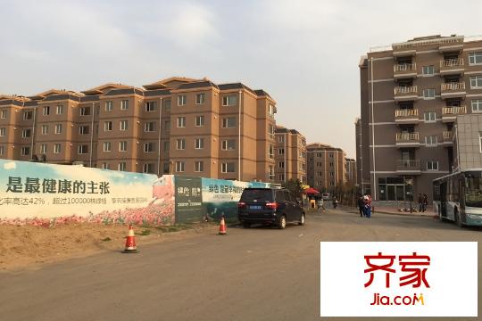 綠色家園多層遠(yuǎn)景（2015-8-20）