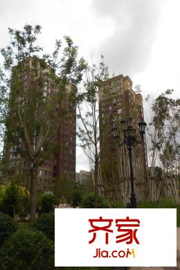 金輝?天鵝灣項(xiàng)目實(shí)景（2015-8-25）