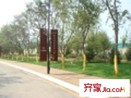 富力?塞戈維拉周邊街路