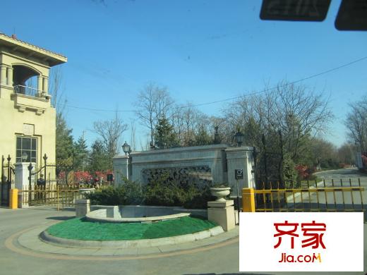 富力?塞戈維拉