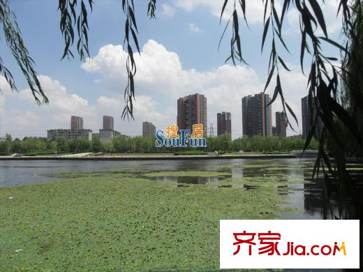 宏發(fā)?石榴周邊配套-仙女湖公園