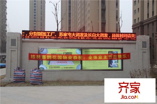 格林喜鵲花園園區(qū)一角（2015-12-29）
